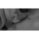 Կպչուն պիտակ