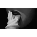 ස්ටිකර්